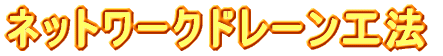 �l�b�g���[�N�h���[���H�@ 